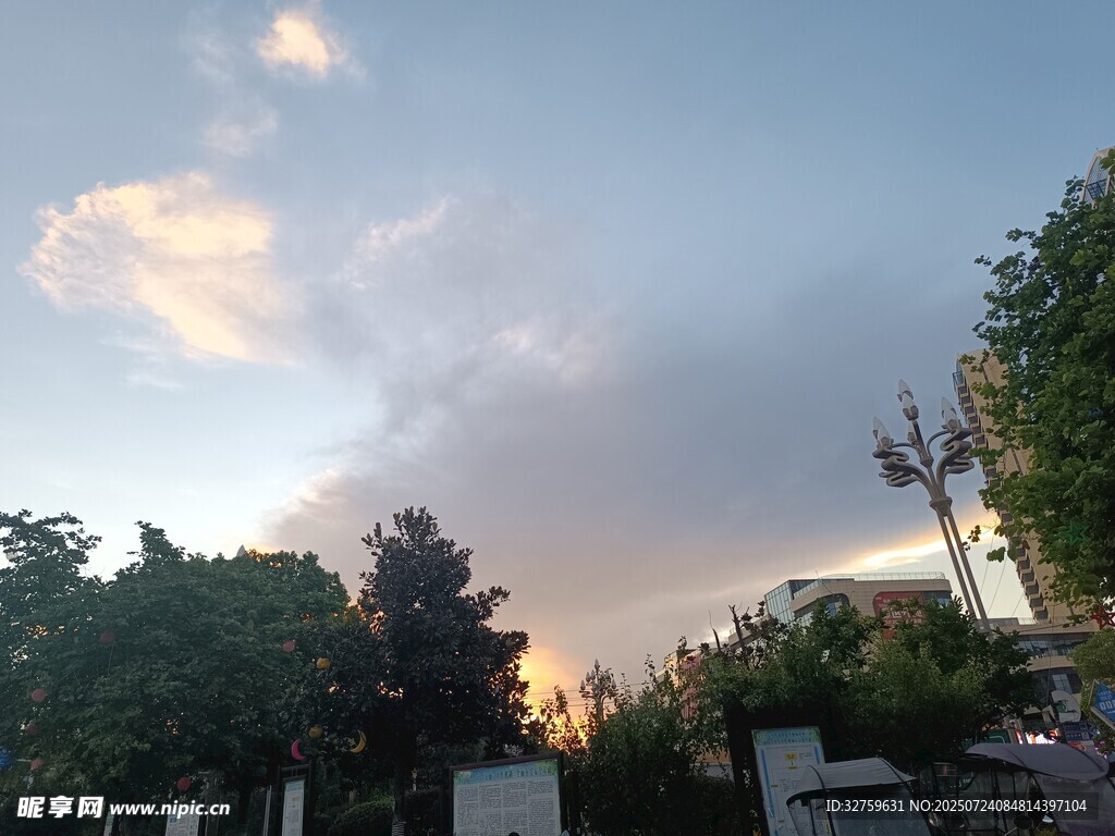 黄昏时分的树木与天空