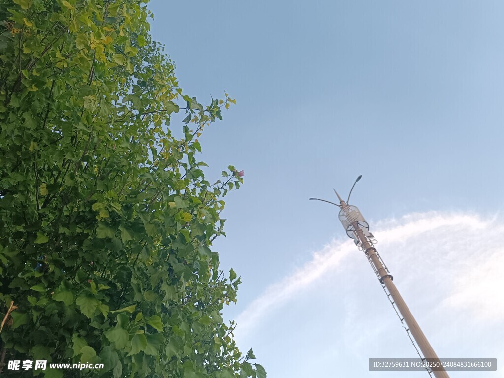 绿树旁的高耸电塔