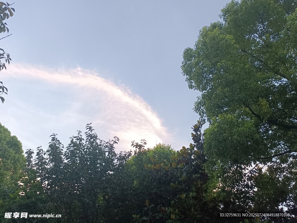 林间天空现美丽云彩