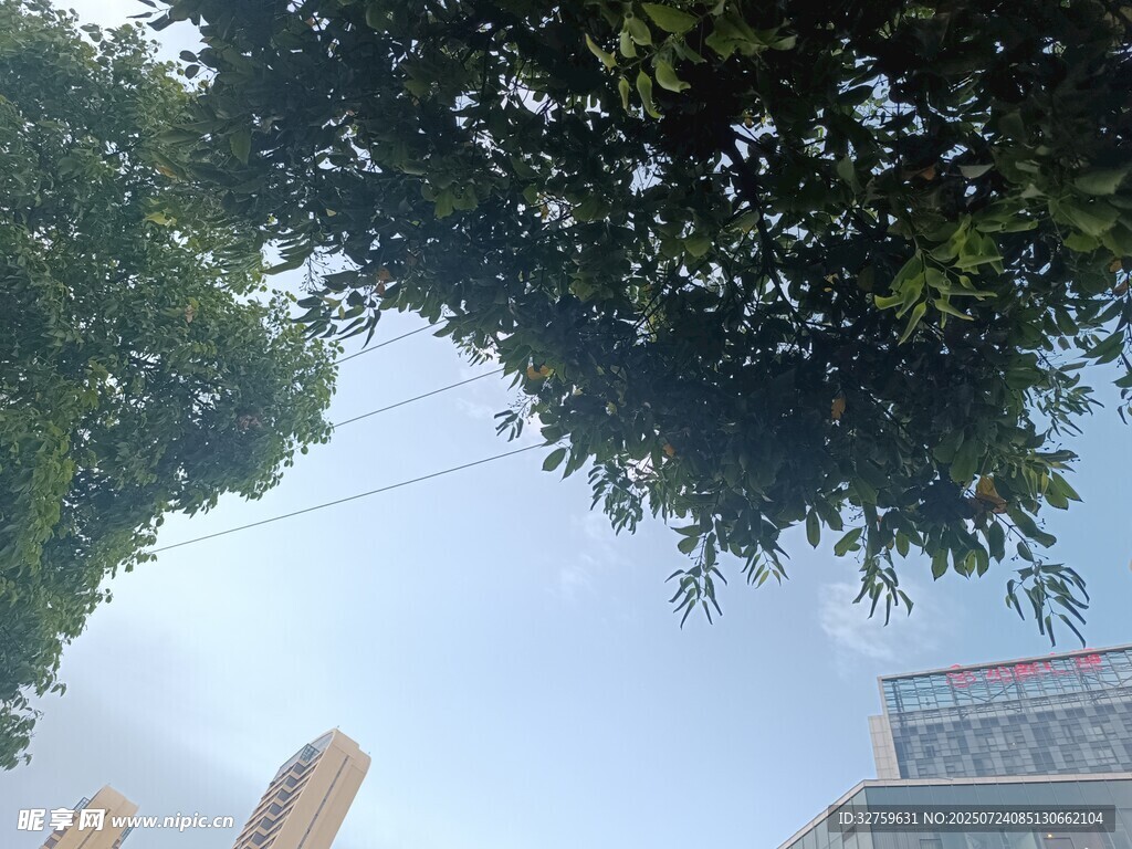 绿树掩映下的城市一角