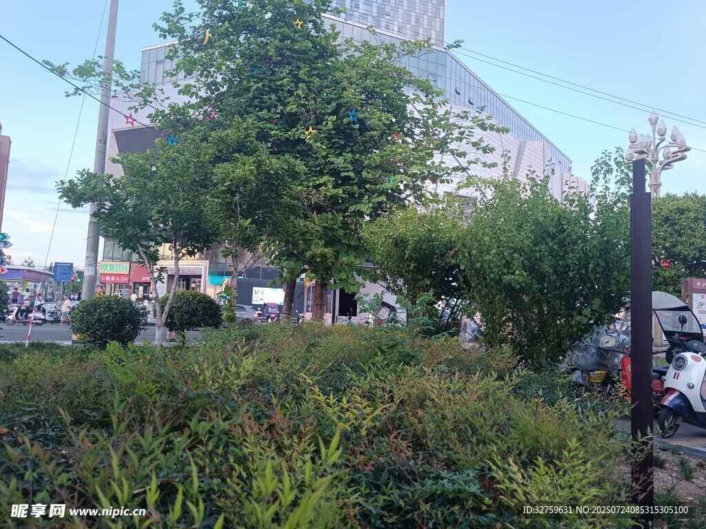 城市街角绿植景观
