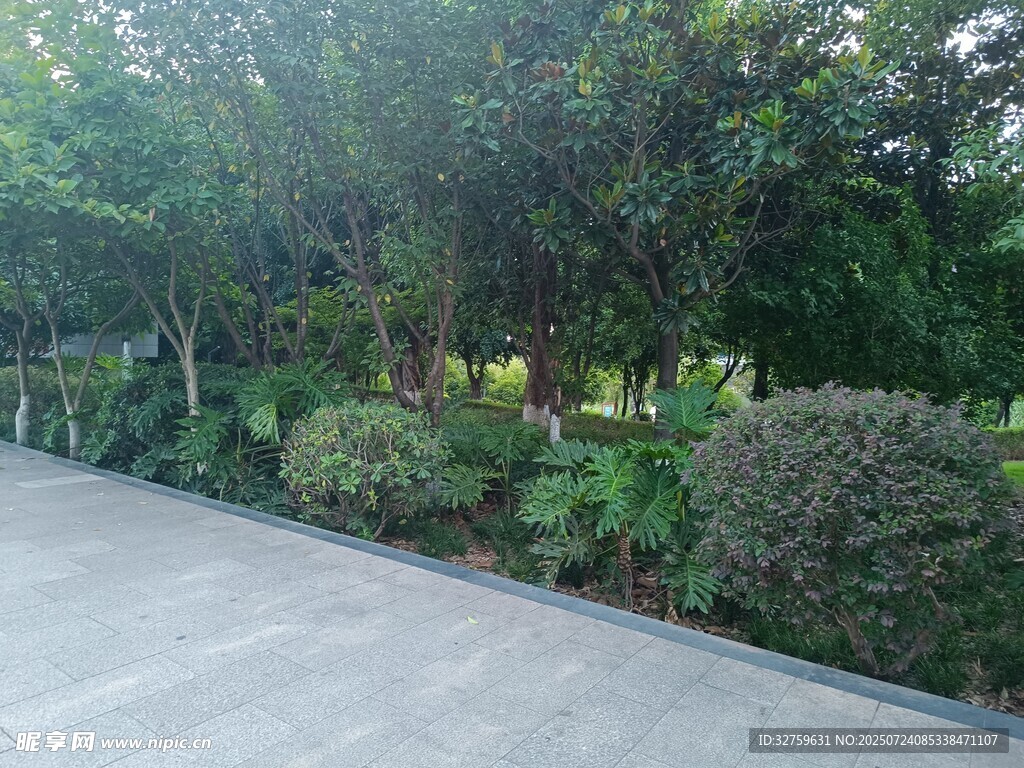 路边绿植景观