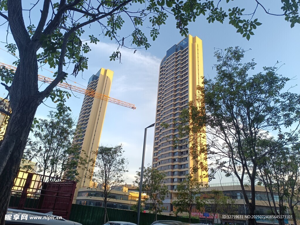 城市中高楼与树木相映