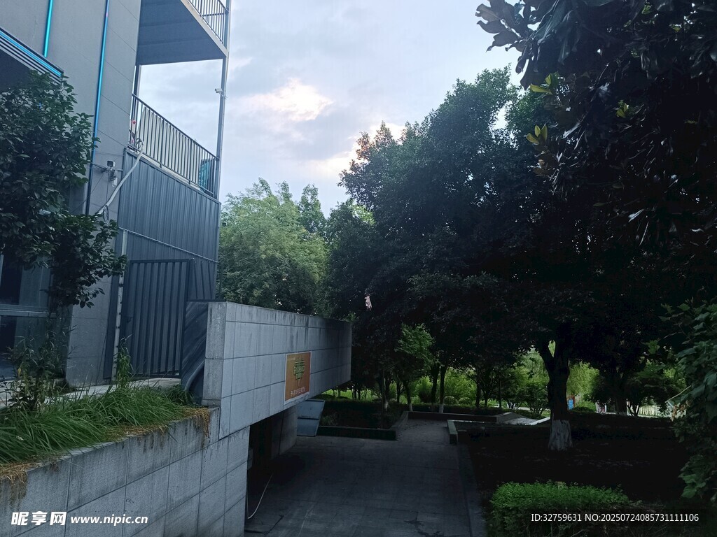 庭院绿植环绕的静谧小道