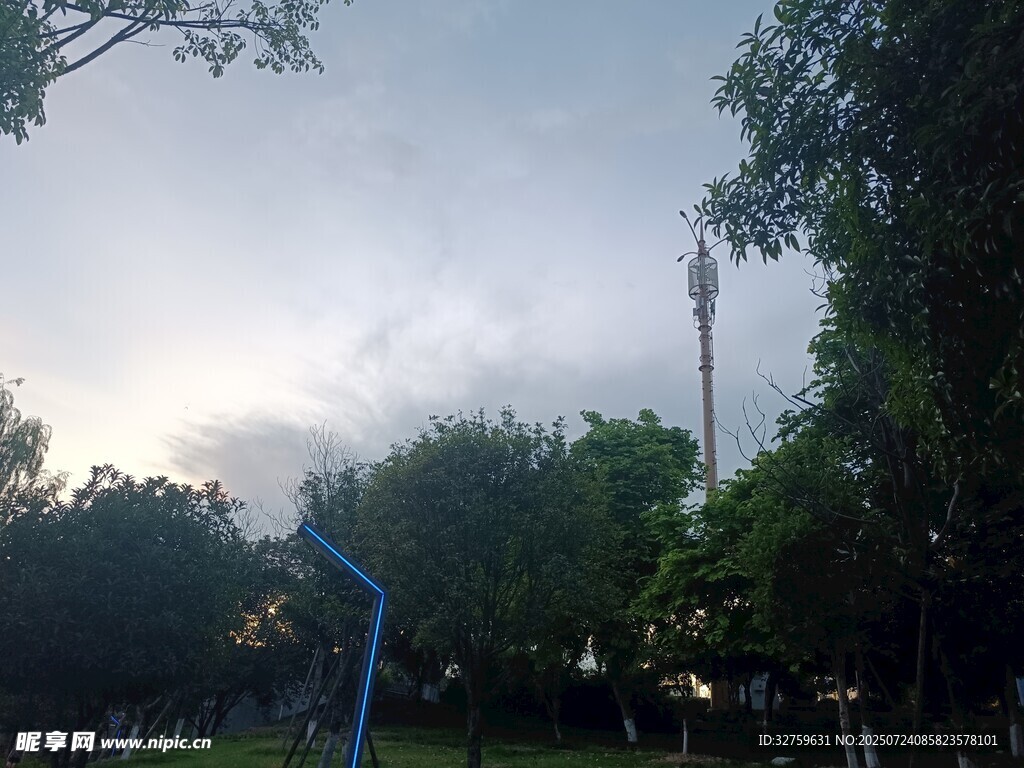 户外绿树蓝天景致