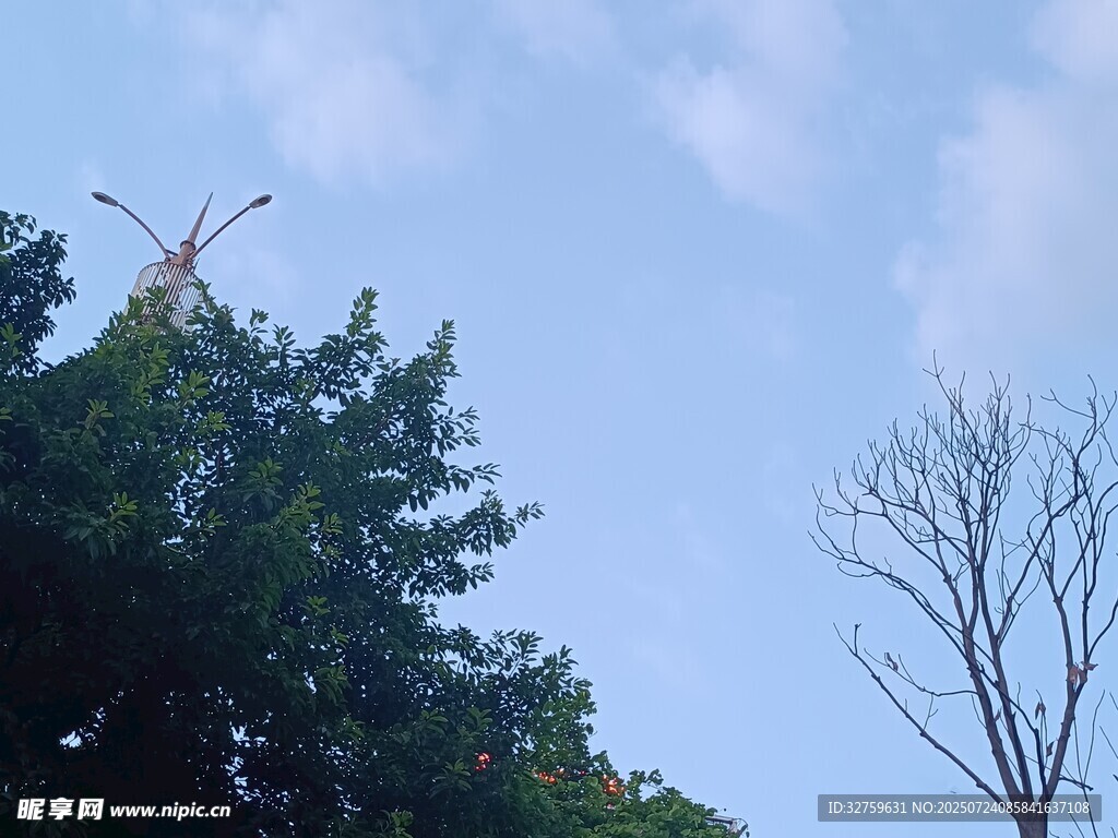 树梢