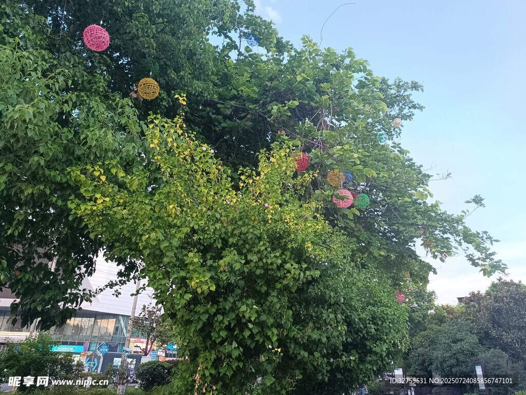 绿树间点缀的红色灯笼