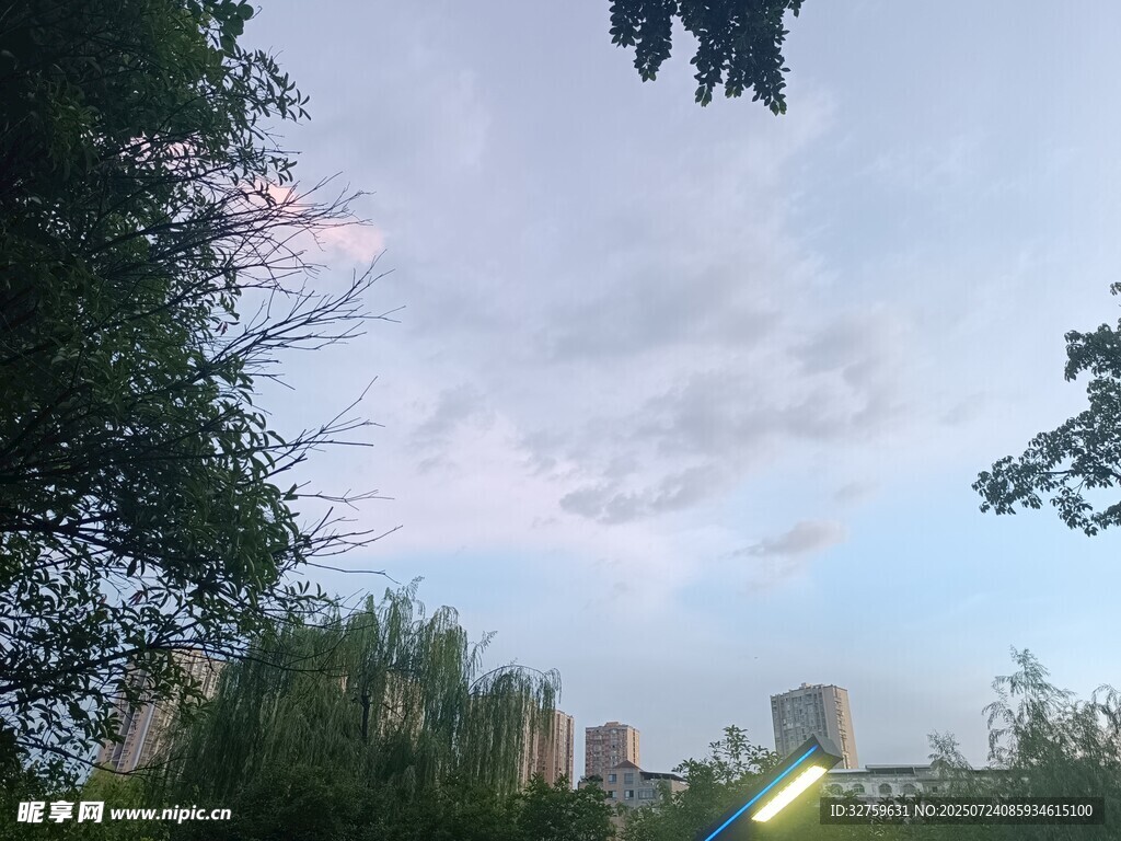 傍晚城市树梢间的天空
