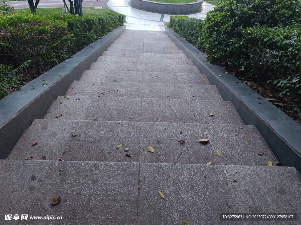 幽静林间步道