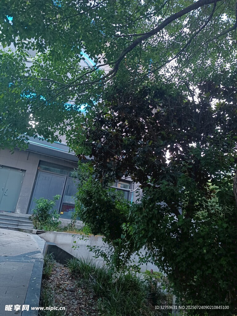 庭院绿植环绕的宁静一角
