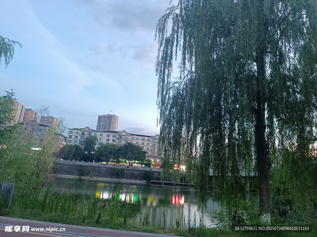 湖畔垂柳夜景