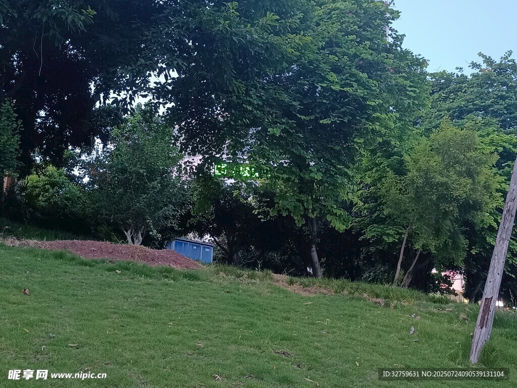 户外绿意盎然的草地场景