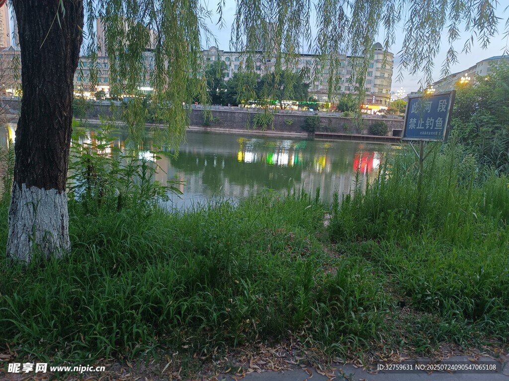 湖畔垂柳与桥的静谧景致