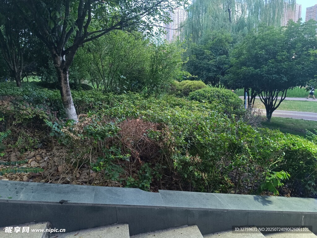 城市中的绿植景观角落