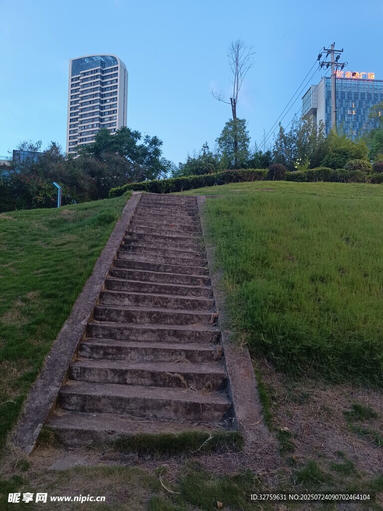 户外石阶通向绿意景观