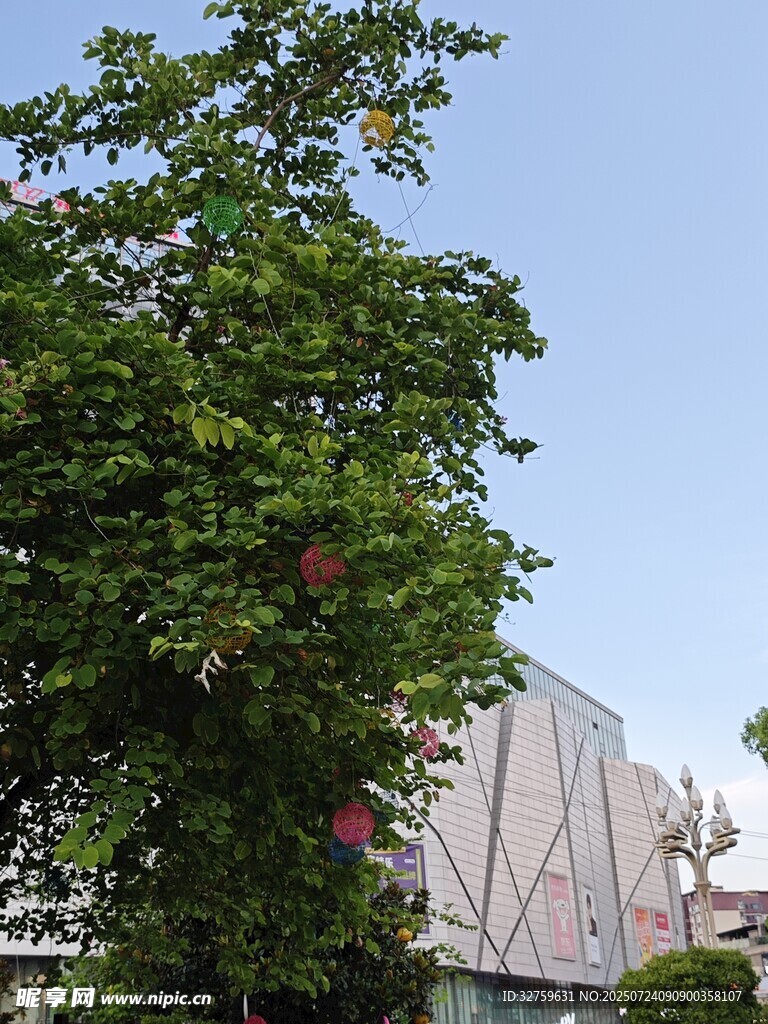 绿叶掩映下的现代建筑