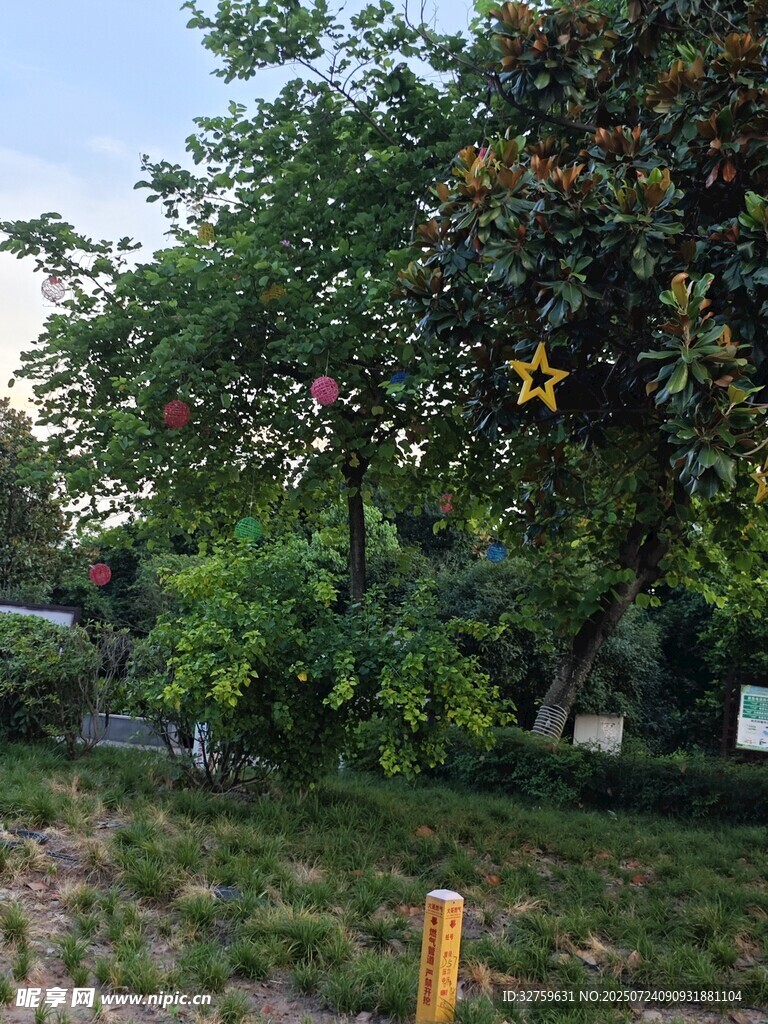 户外绿意盎然的自然景致