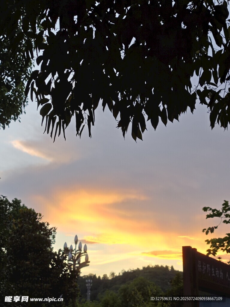 黄昏时分的山林美景