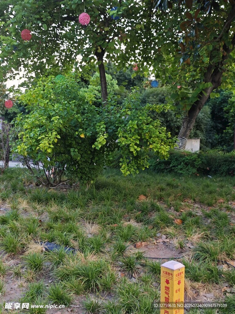 公园绿荫下的休闲景致