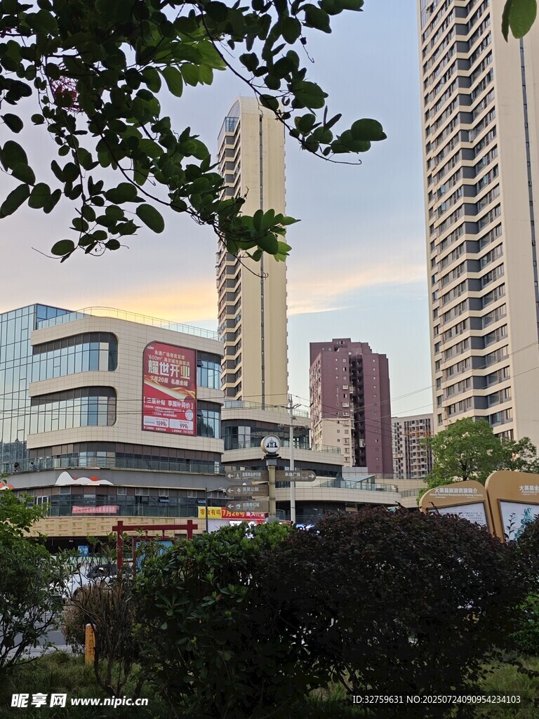 城市中现代建筑与绿植景观
