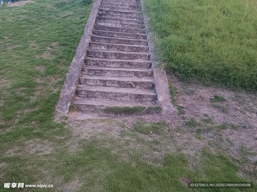 户外草地中的石阶步道
