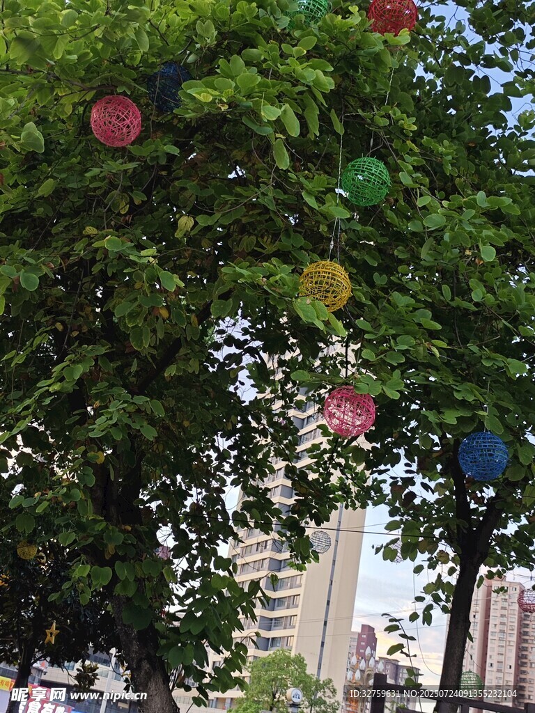 树上悬挂多彩装饰球