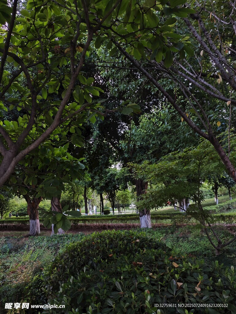 静谧园林景观