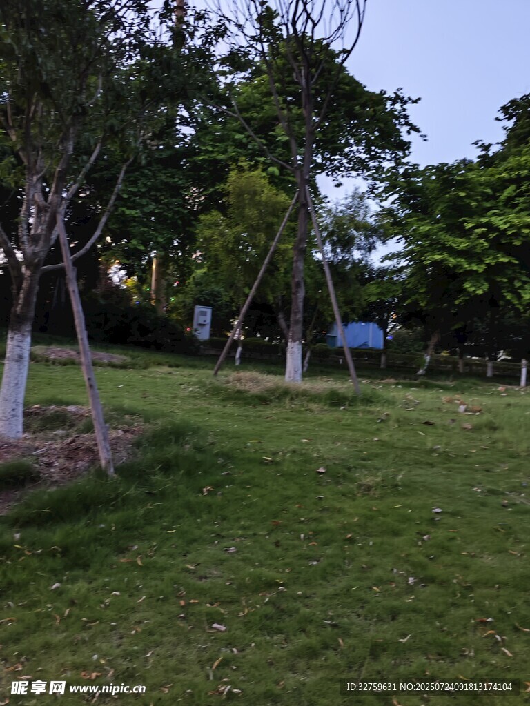 户外绿树环绕的开阔草地