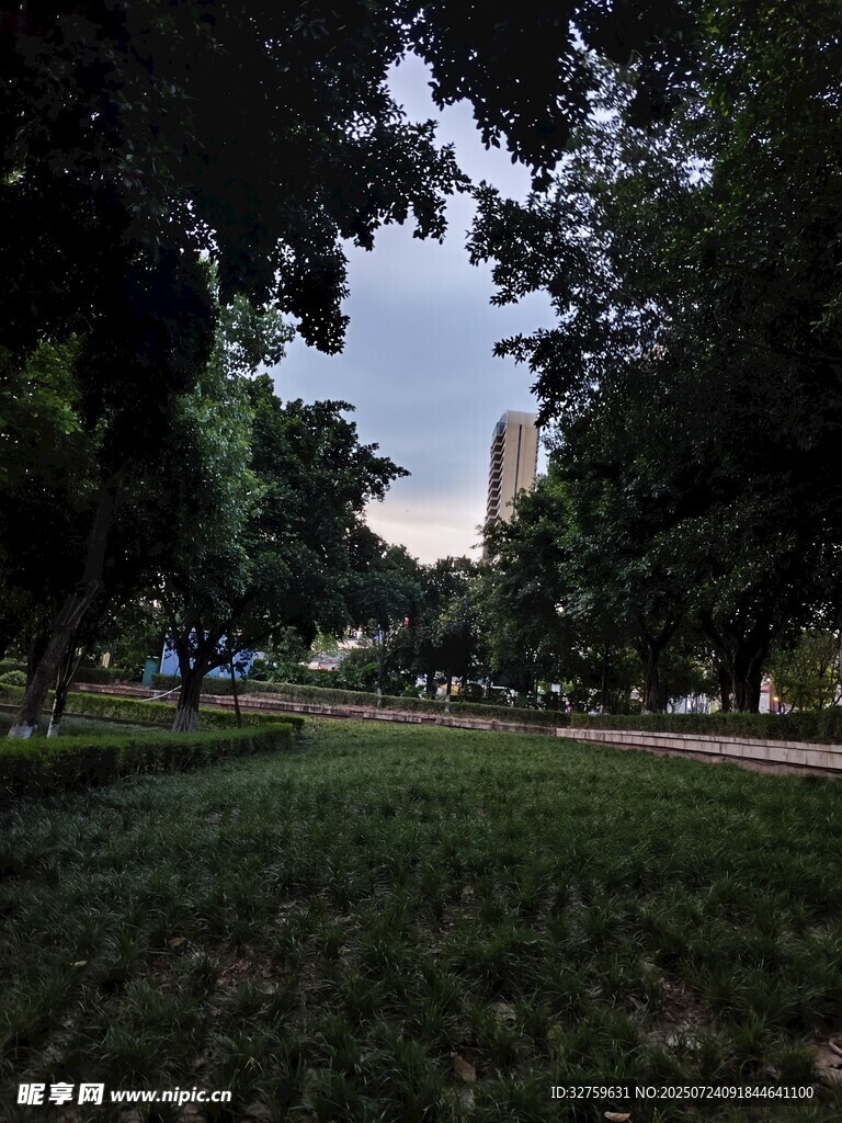 公园草地树木景观