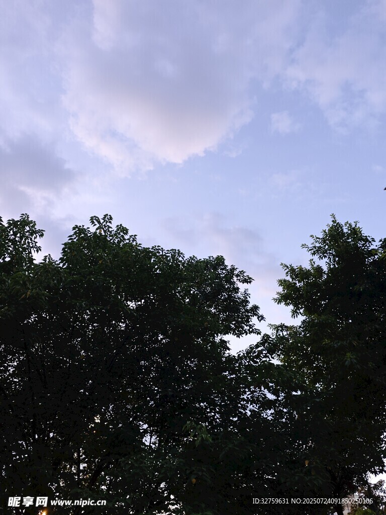 蓝天绿树间的静谧景致