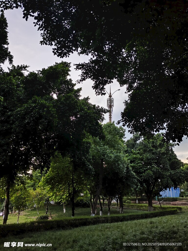 绿意盎然的公园景致