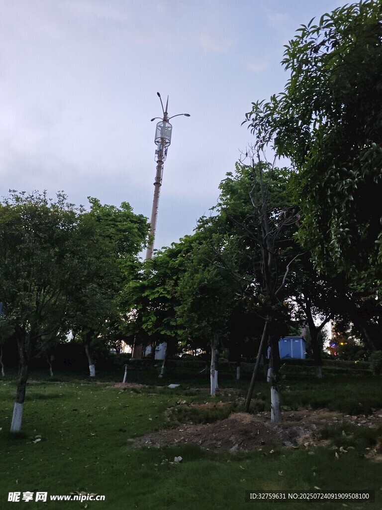户外绿树环绕的通信基站