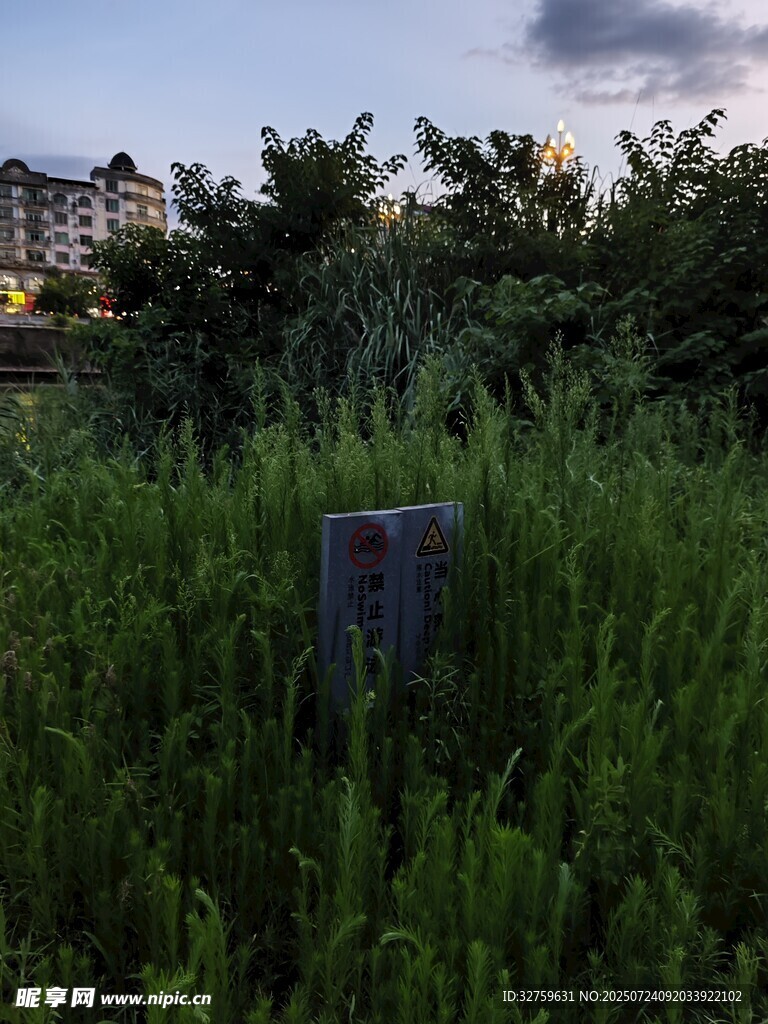 草丛中的灰色柱状物体