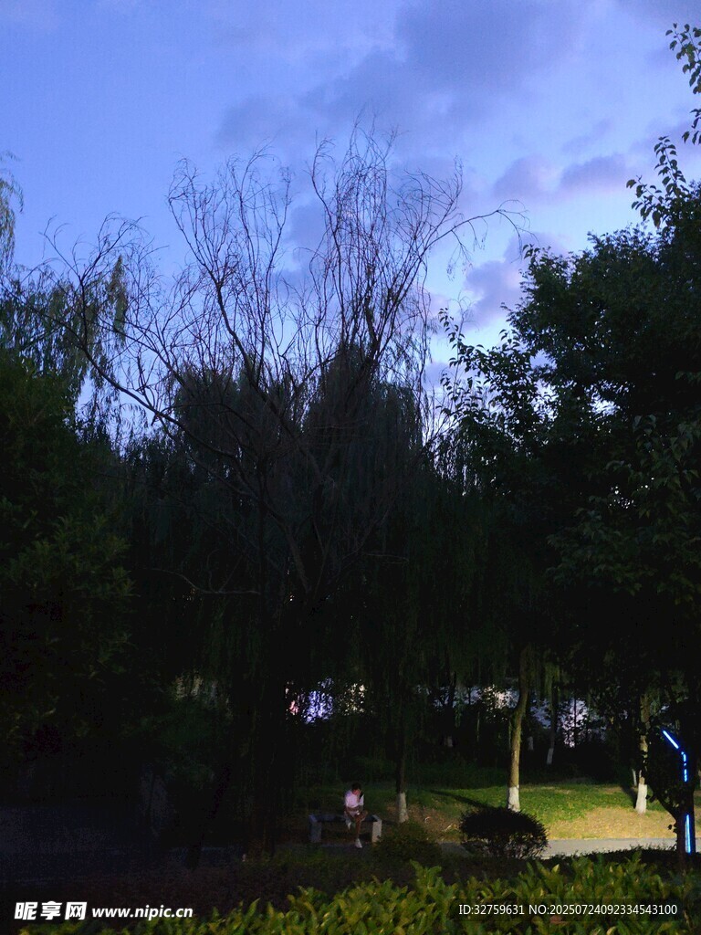 黄昏公园树林间漫步景象