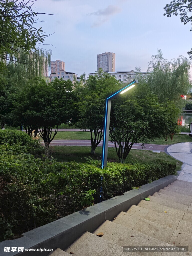 城市公园中的步道与绿植