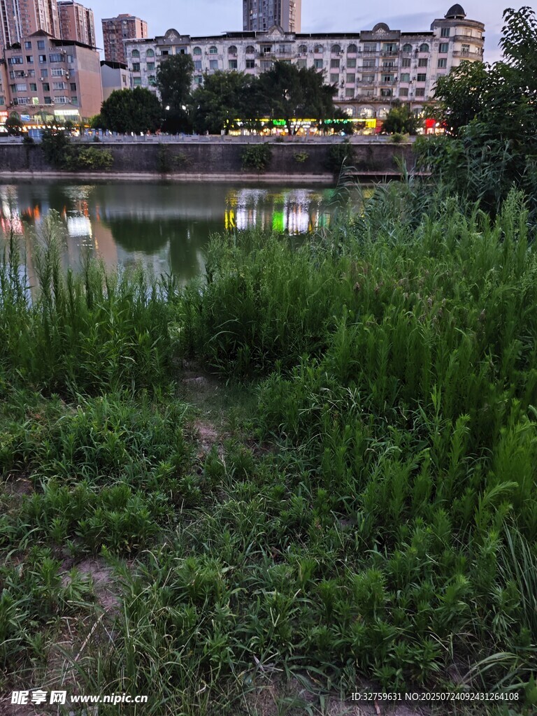城市河畔绿植景观