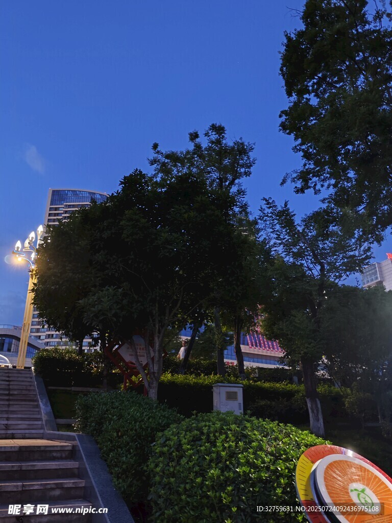 城市黄昏下的绿植与建筑景观