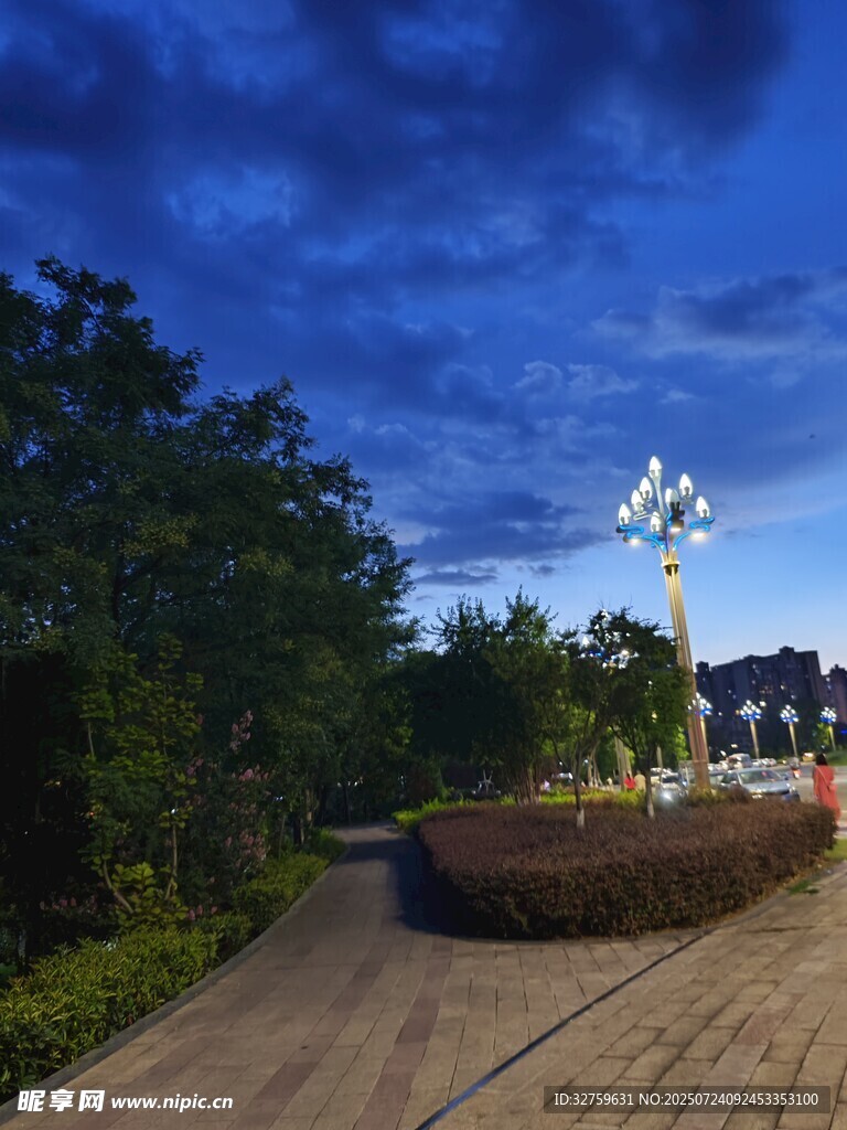 夜幕下的公园景观道路