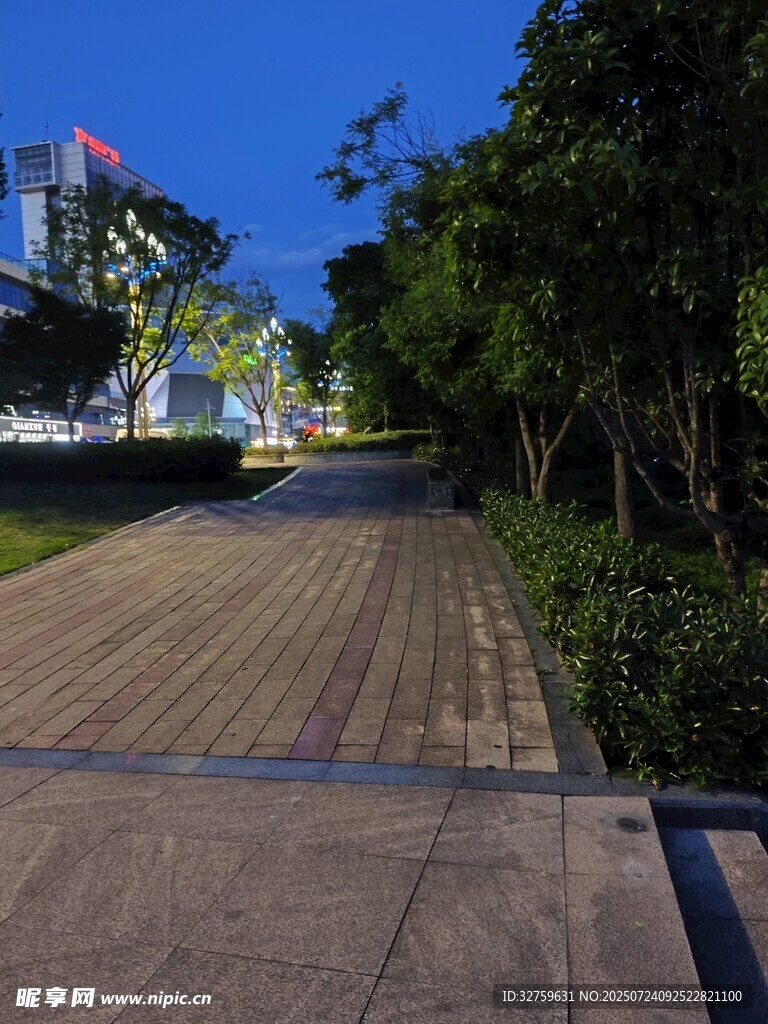 城市林荫步道景观