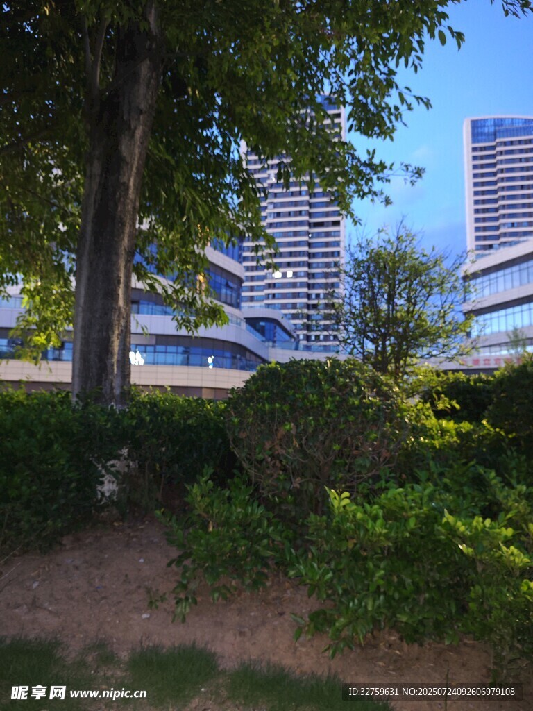 城市绿植与现代建筑景观