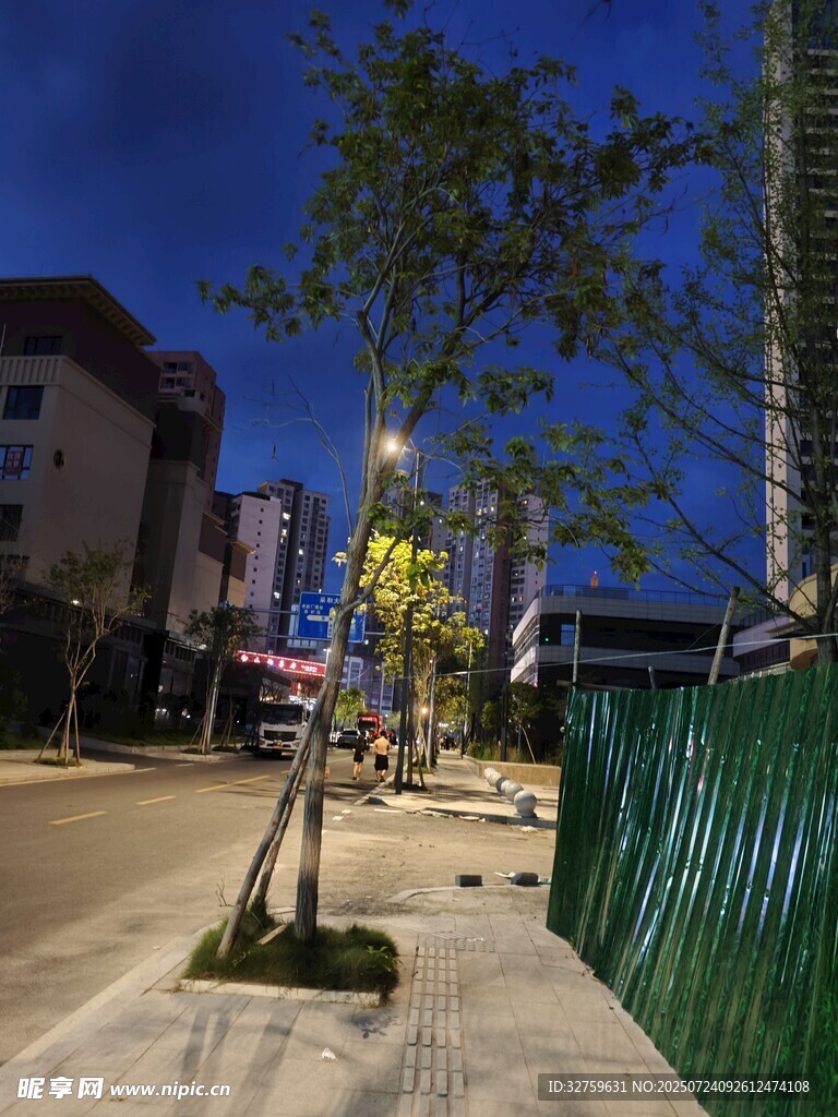 夜晚街边绿植与围栏景象
