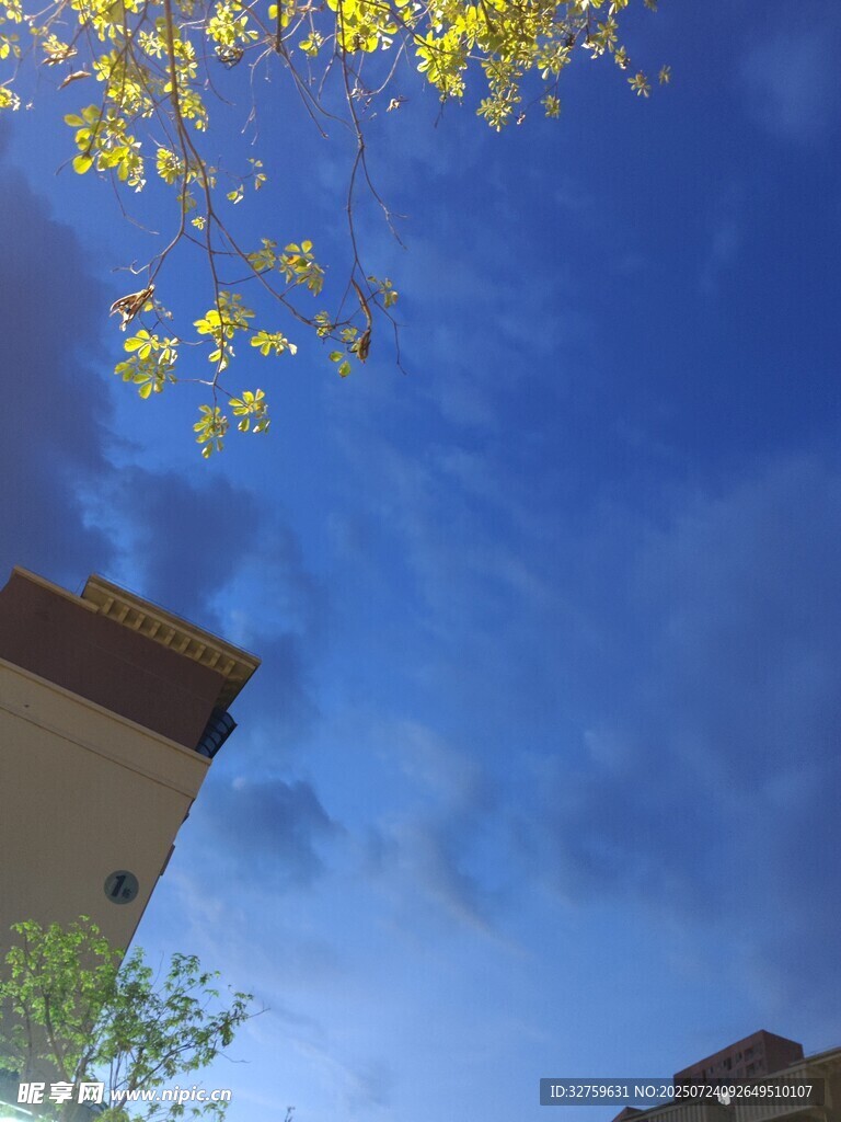 蓝天黄叶下的建筑一角