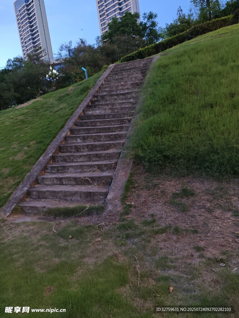 户外草地中的古朴石阶