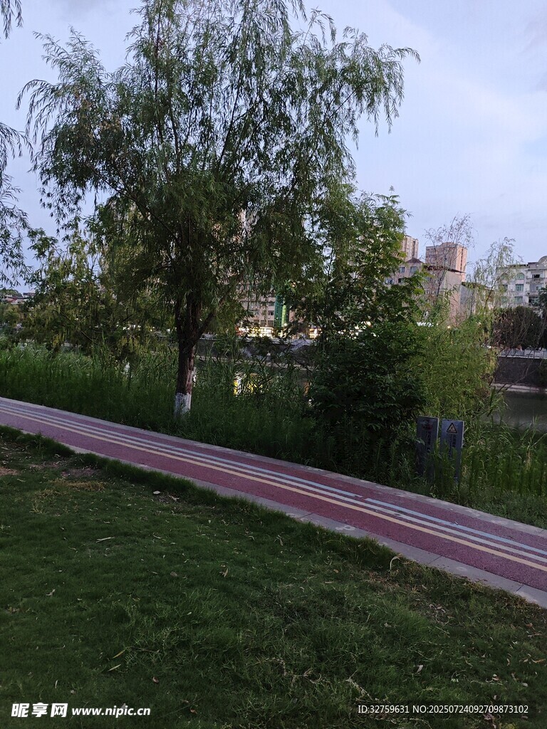 公园中的彩色步道与绿树