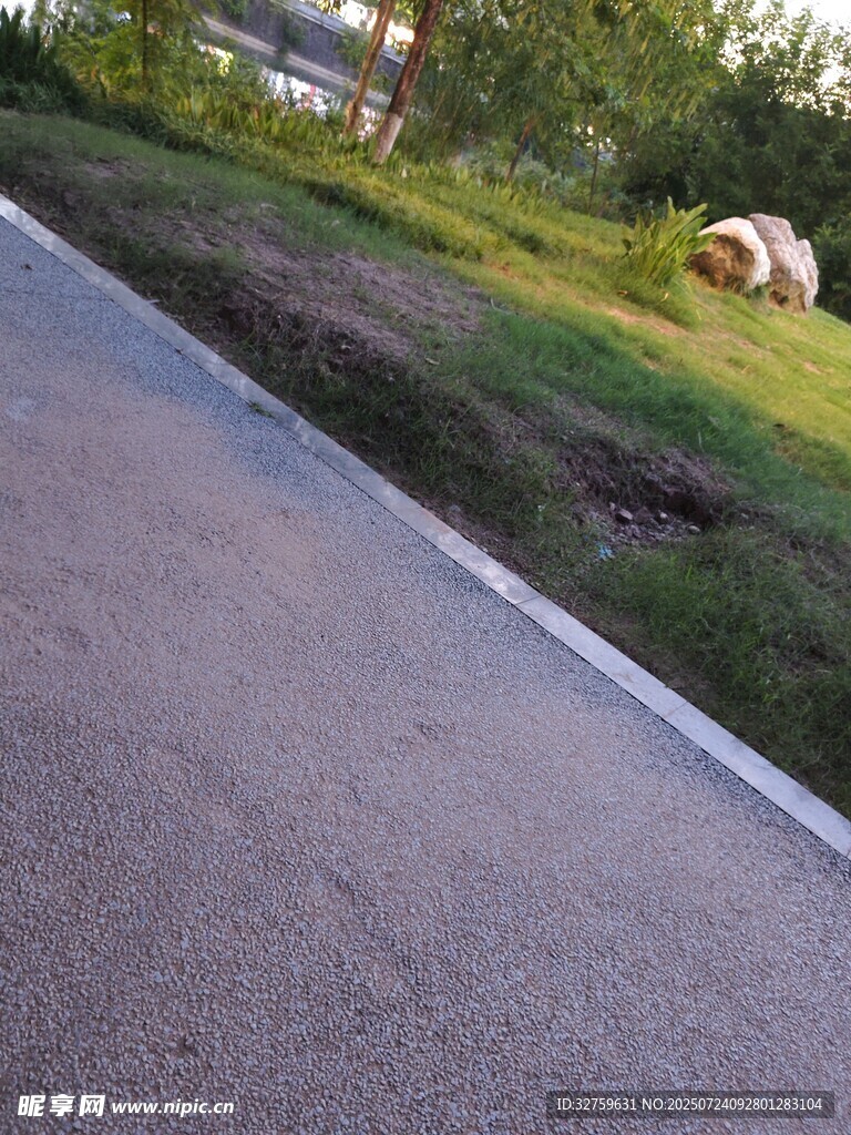 路边草地中的动物