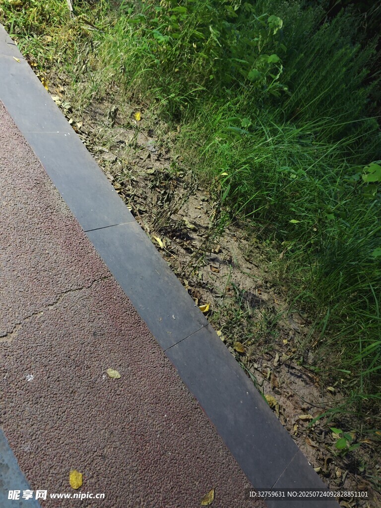 路边的人行道与绿植