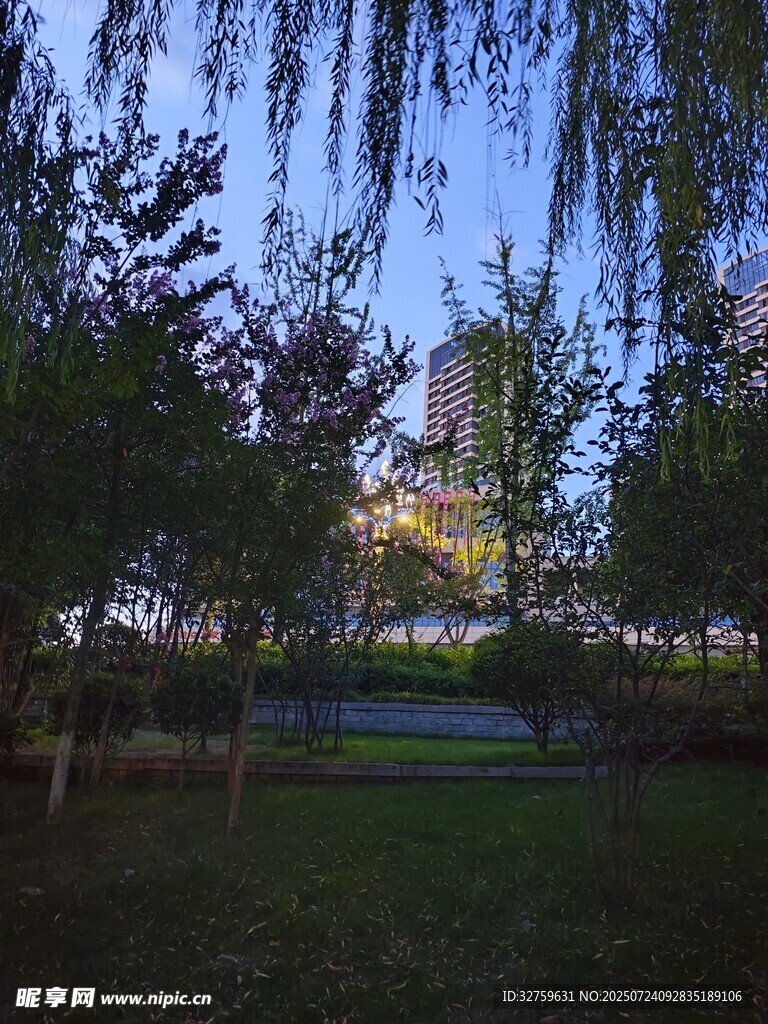 公园暮色中的垂柳与建筑