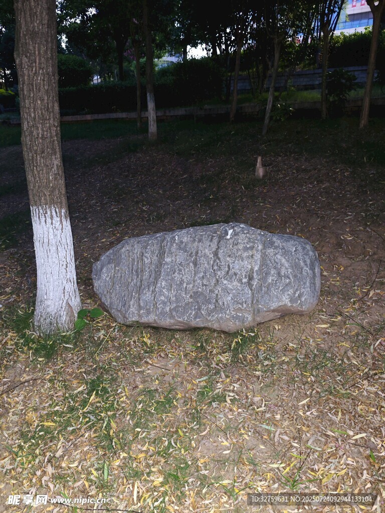 公园草地旁的灰色大石头