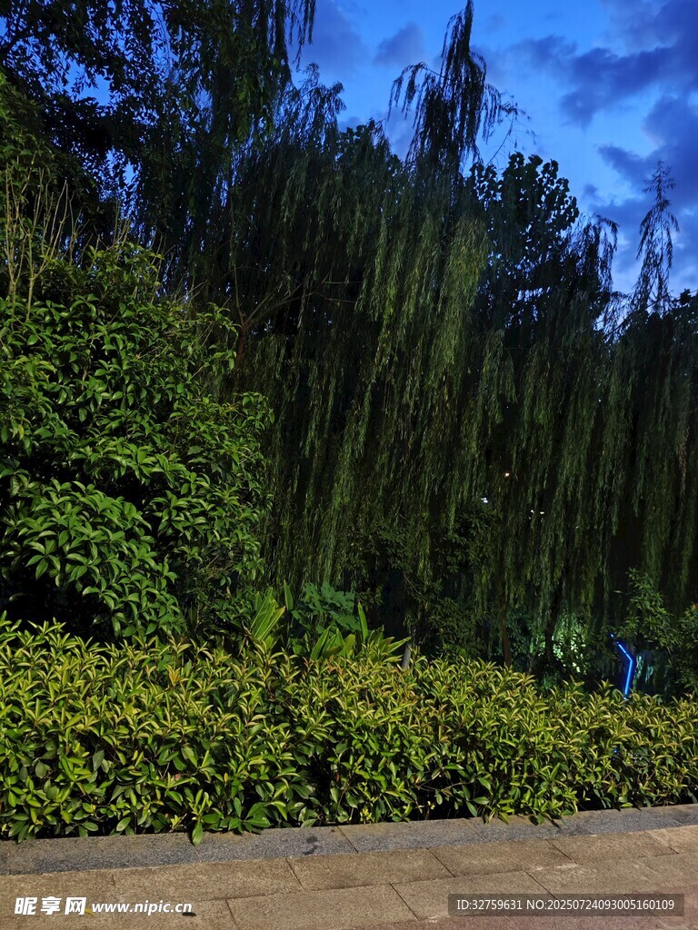户外绿植景观
