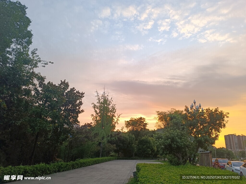 黄昏下的林间小径美景